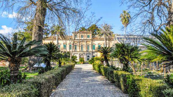 where to eat in pisa